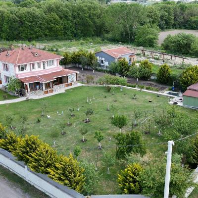 2460 M2 SATILIK VİLLA